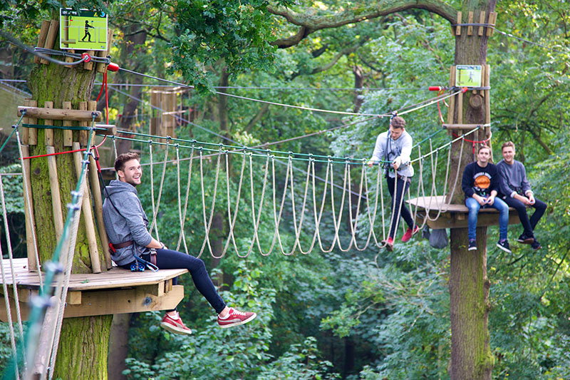 Go Ape Thetford