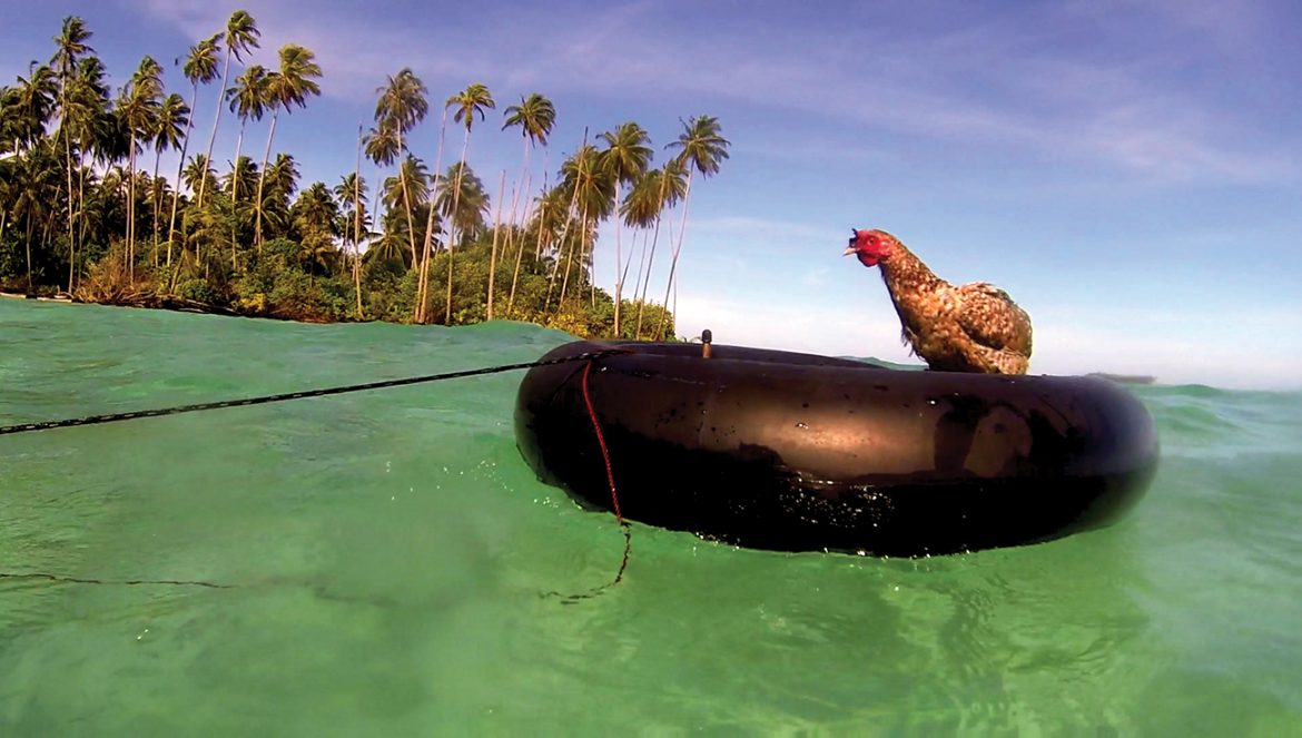 Ocean Film Festival world tour