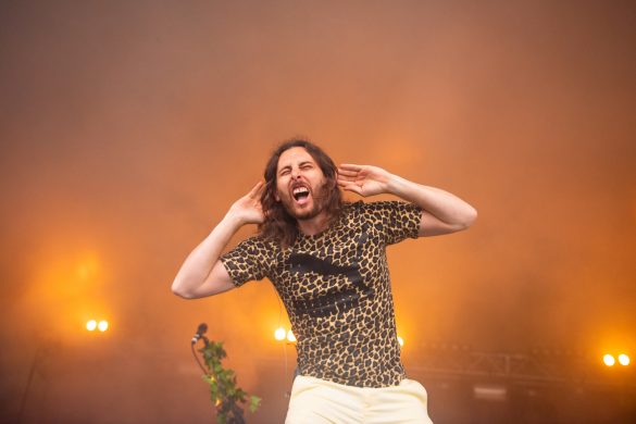 In Pictures: Standon Calling 2019
