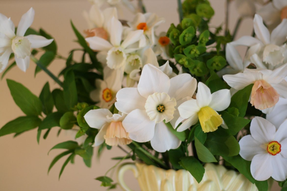 How does your garden grow? April ’20