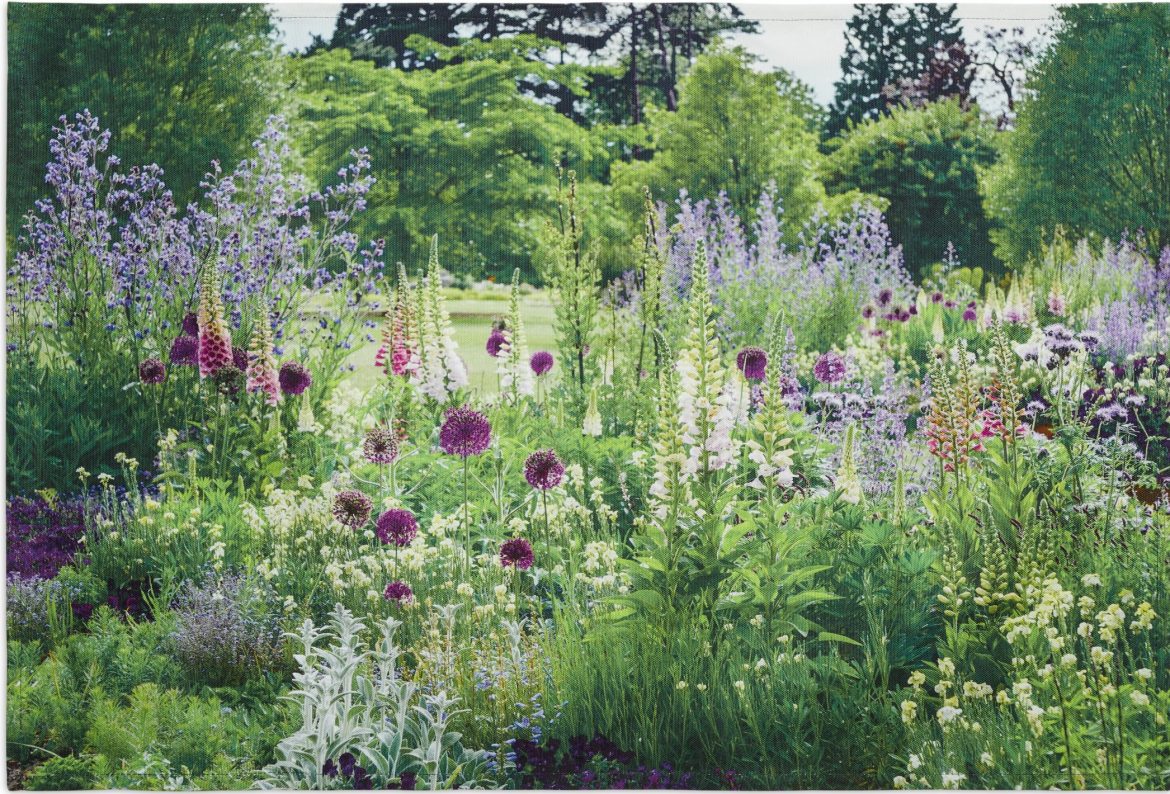 Great gifts: Curating Cambridge