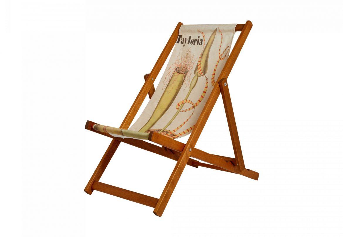 10 prizes for 10 years: Win a Curating Cambridge deckchair – worth £120!
