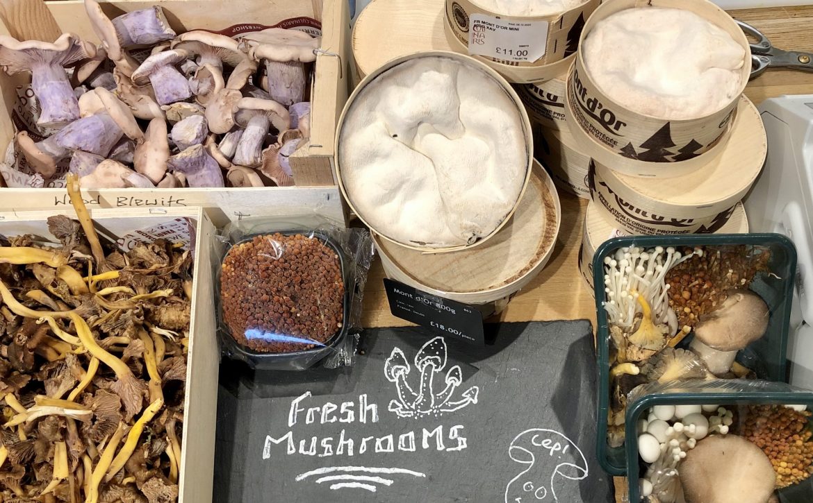 I know this great little place… Culinaris