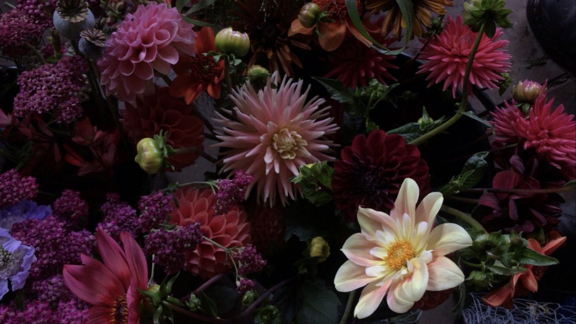 How does your garden grow? September ’21