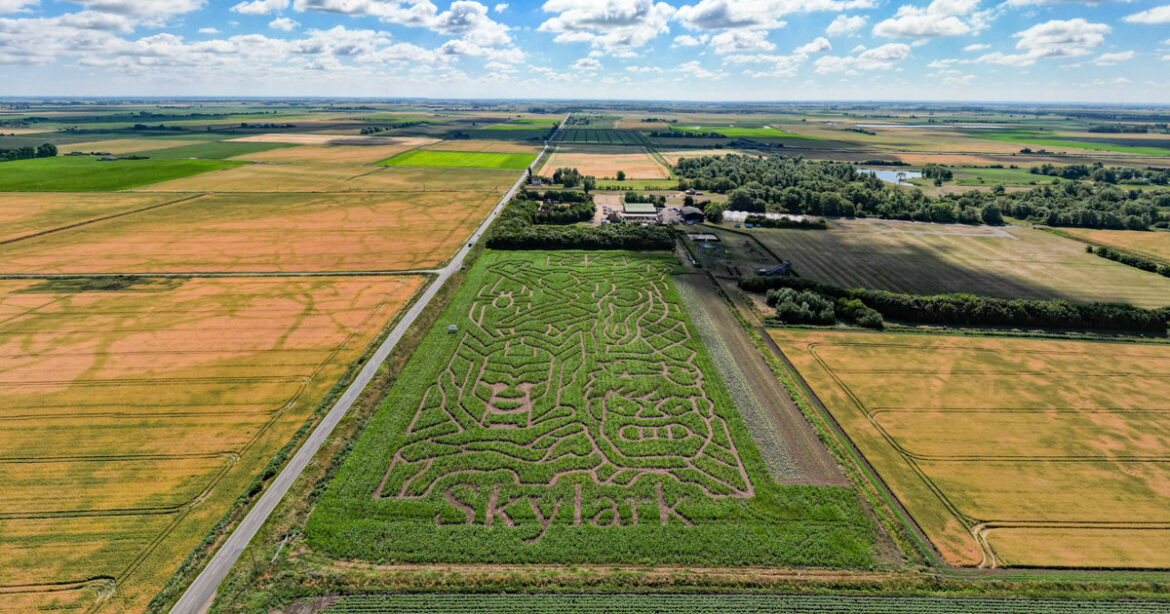 Skylark Maze