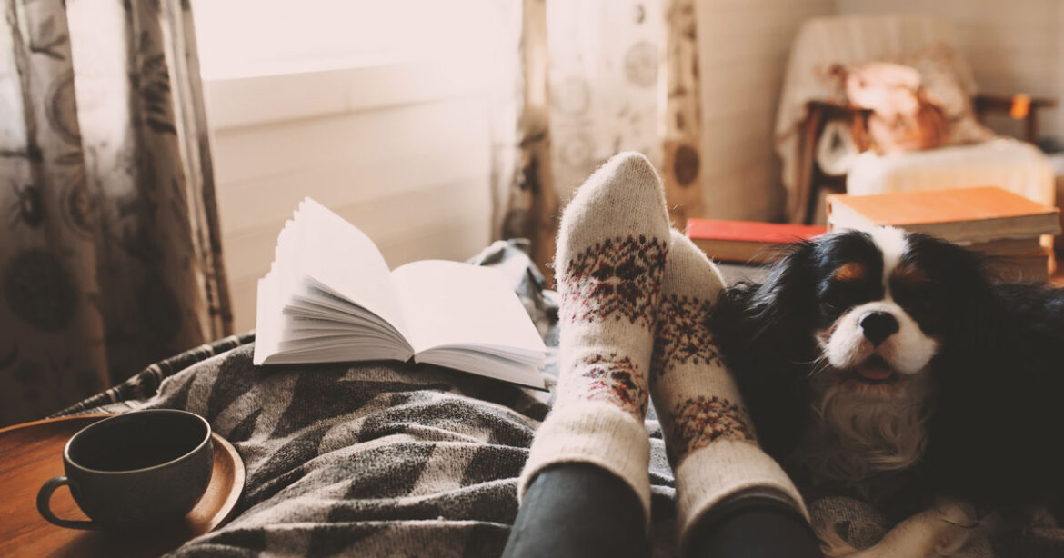 Edition Book Club: November ’22