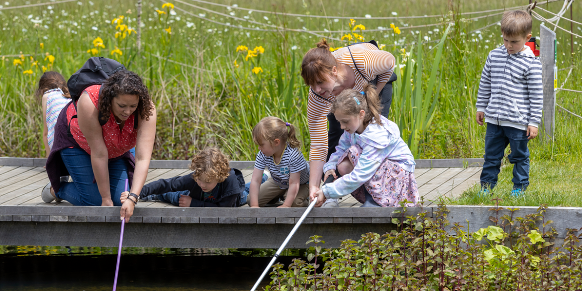 Cambridge Wildlife Festival- Wildlife-day-17