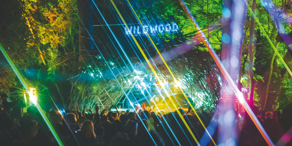 Wild Wood Disco Giveaway Cambridge Edition