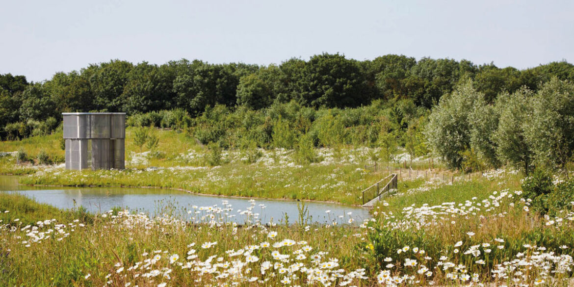 Open-Cambridge---Eddington---Sustainable-YOU