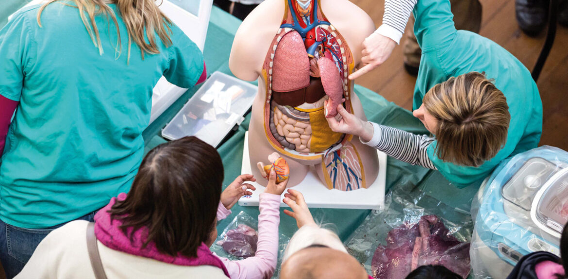 What’s On In 2024 Calendar