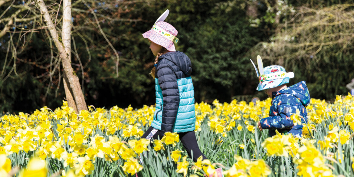 7 Family Day Out Ideas for Spring 2024