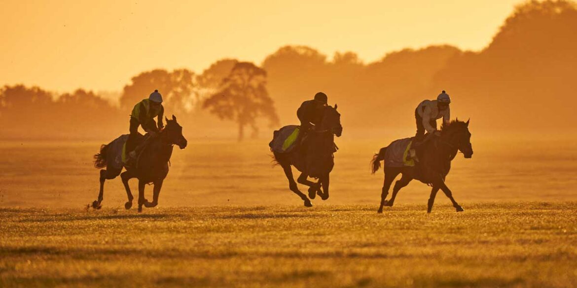 WIN with the Kingsmoor Club