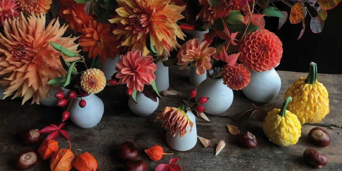 How Does Your Garden Grow: October 2024