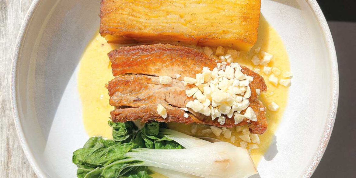 Pork Belly & Cider Cream