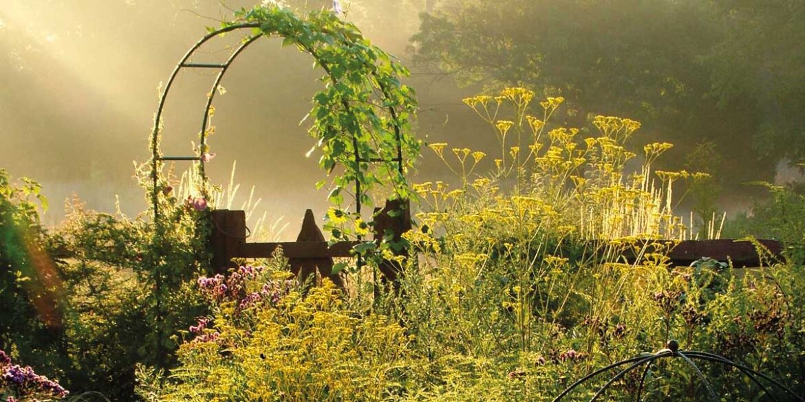 Make a Home for Wildlife