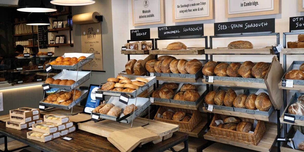 Elisha Eats: Artisinal Cambridge