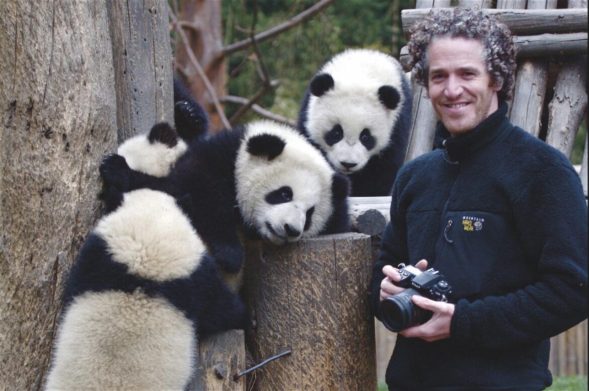 A man holding a camera stands next to several small panda cubs