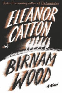 A book cover showing a chalk drawing of a hill. The title is "Birman Wood"