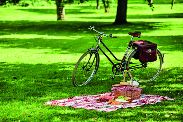 A bicycle resting on a field next to a picnic blanket and basket with a baguette on top