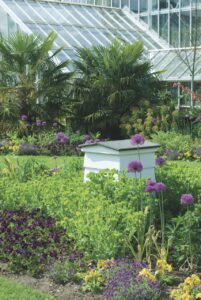 A white bee house in a garden in front of a greenhouse