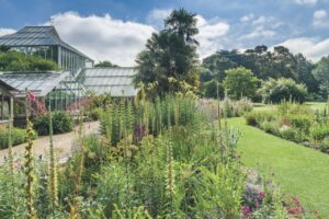A lush garden with a path in front of a greenhouse