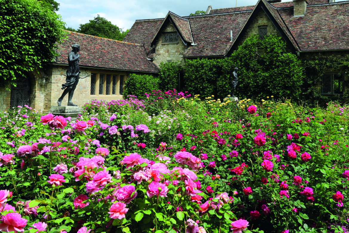 A rose garden in front of an old cottage. Two statues stand among the roses