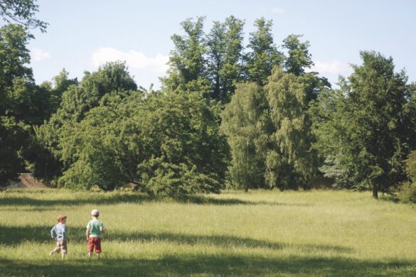 Two small children stand in long grass in a field with trees in the background