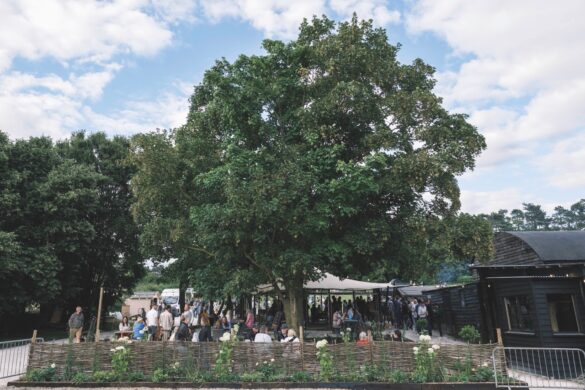 A seating area enclosed in a wooden fence next to a large tree. A gazebos is set up in the background
