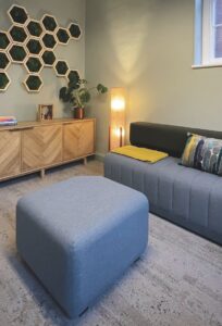 The inside of a modern room with a blue sofa and green walls