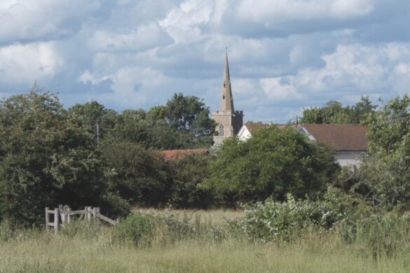 The spire of a church pokes through the trees in the distance. A grassy field takes up the foreground