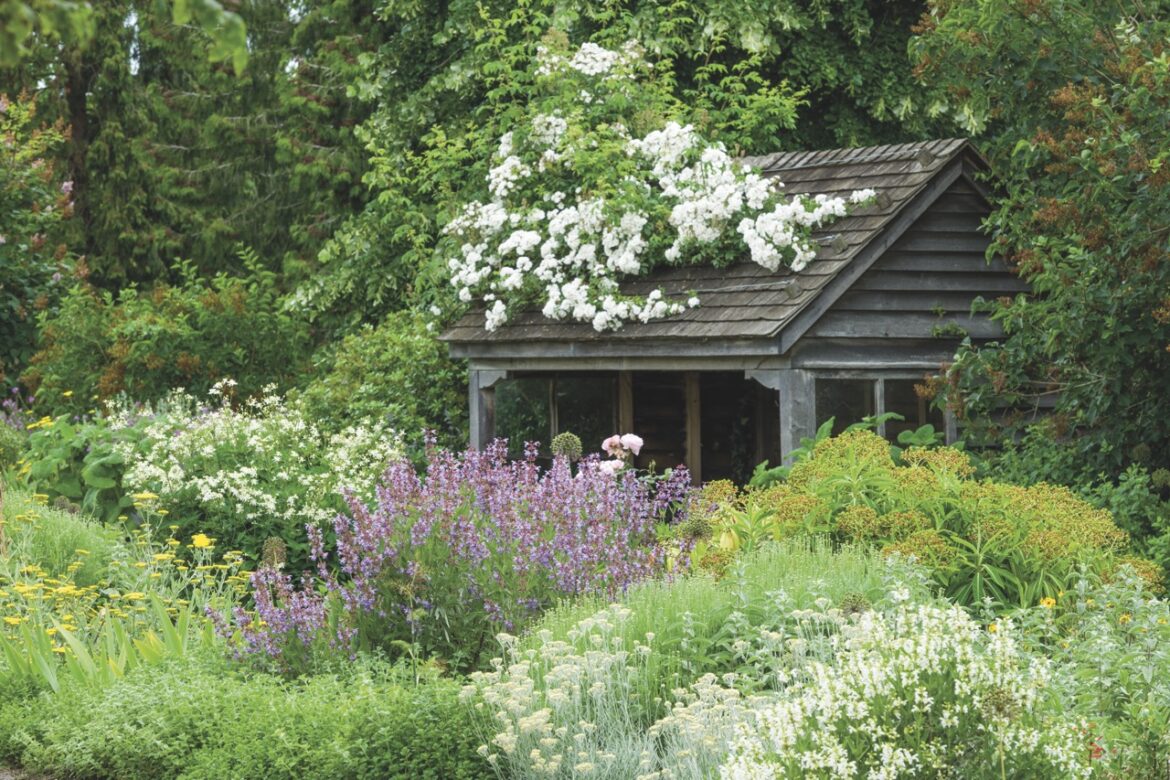 A flourishing garden with bushes of flowers growing over a wooden shelter
