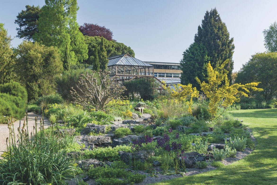 The greenery of the Cambridge University Botanical Garden with a greenhouse in the distance
