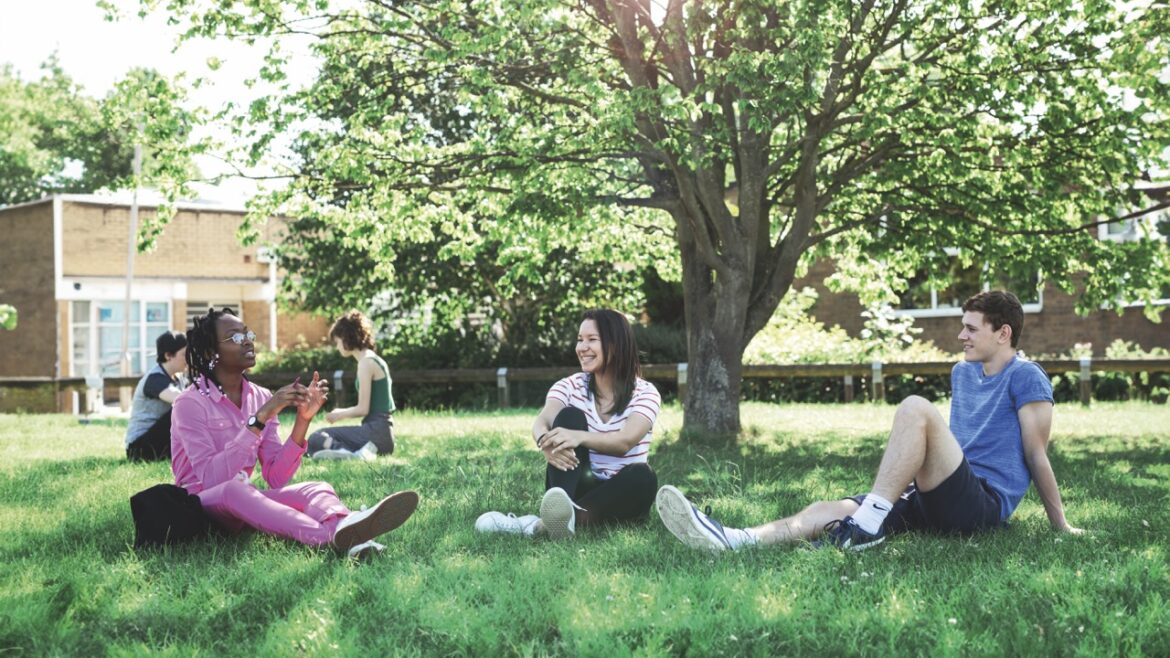 A group of three friends sitting on the grass underneath a tree