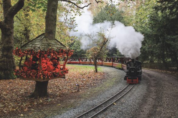 A red and black steam train wrapping around an autumnal field