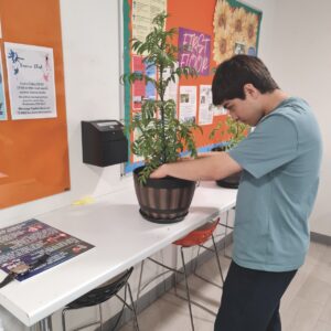 A young boy tending to a plant in a classroom