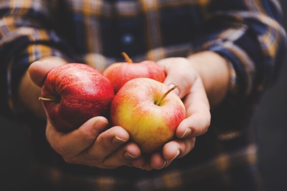 A hand holding red and yellow apples
