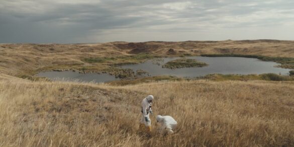 Cambridge Film Festival reveals its 2025 line-up