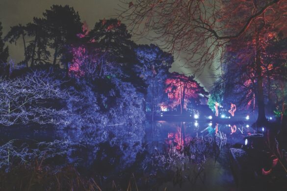 A lake illuminated in reds and blues at nighttime