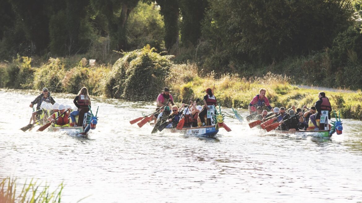 Teams in dragon boats racing in a river in Cambridge