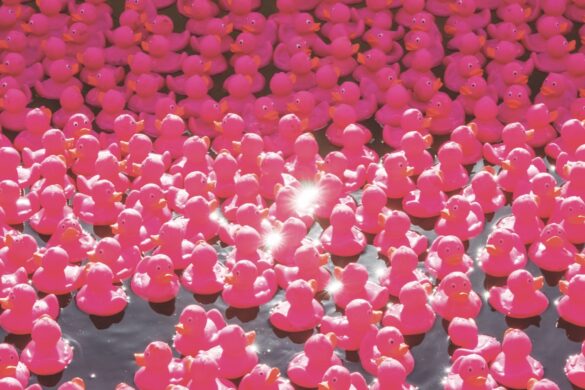 Lots of pink rubber ducks floating on water