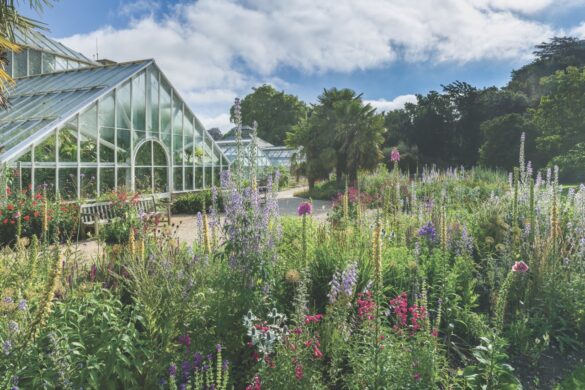 A large greenhouse behind spring flowers