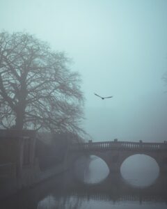 A bridge over a river on a grey day with a bird flying in the distance