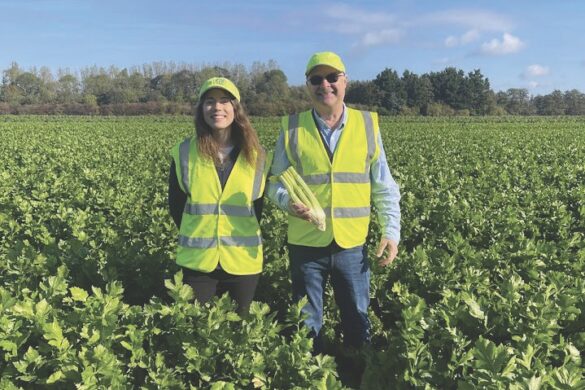 Two people wearing hi-vis stand in a green field on a clear day