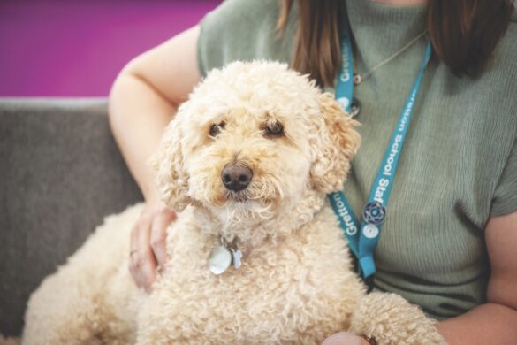 Gretton (above) and St Faith’s (right) have learning support systems in place A person wearing a lanyard and holding a cute dog