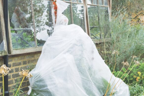 A white bag next to a greenhouse and on top of green foliage