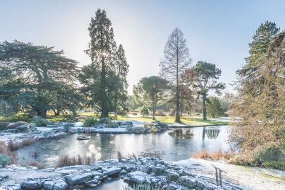 An icy lake surrounded by frosty rocks and trees