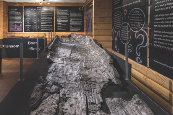 A exhibition of an archaeological log boat in a museum