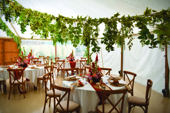 An empty wedding tent with round tables and green plants hung across the venue
